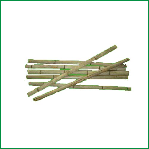 zhipingban-zhihujiao (2)